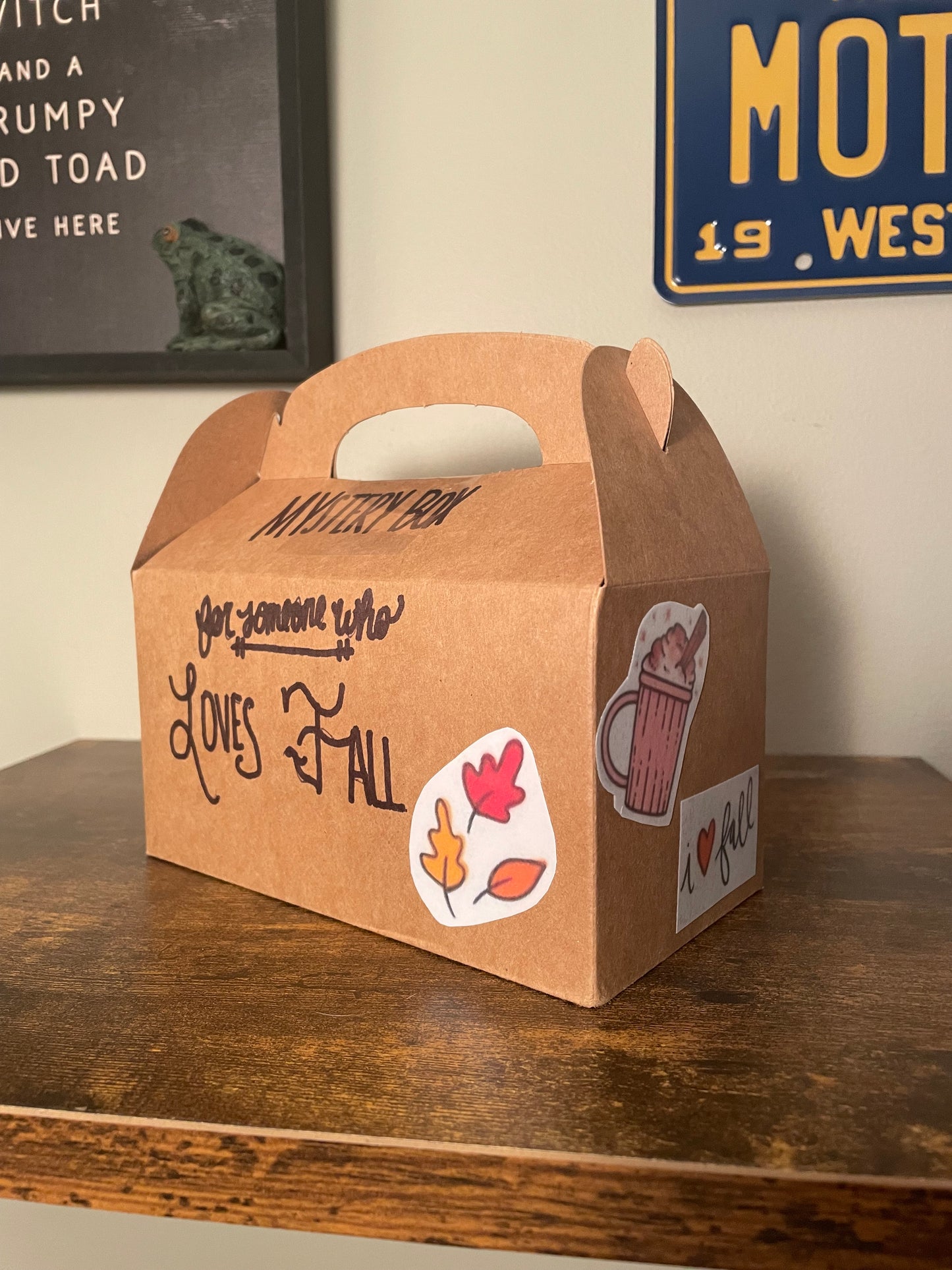 Mystery Boxes - Themed or Random