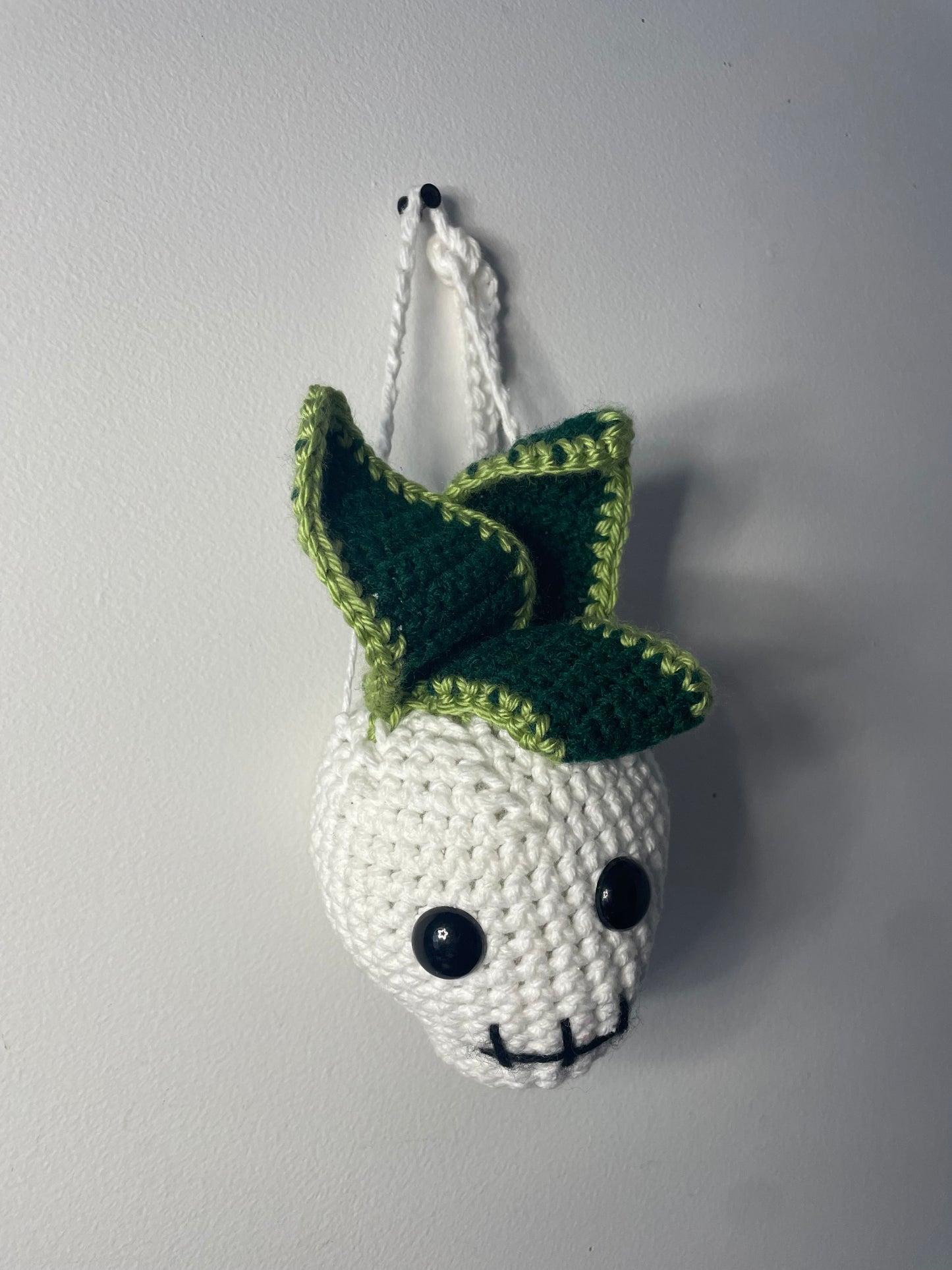 Crochet Hanging Skull Planter