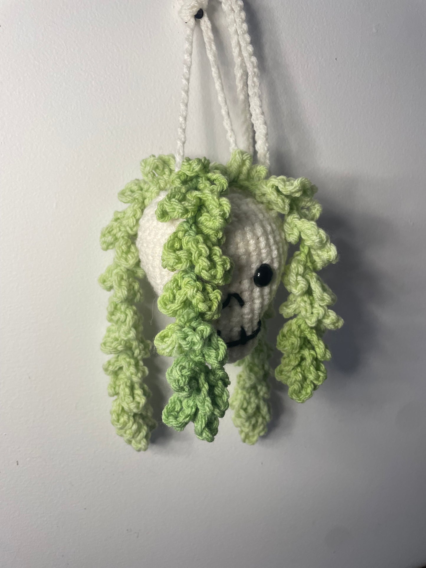Crochet Hanging Skull Planter