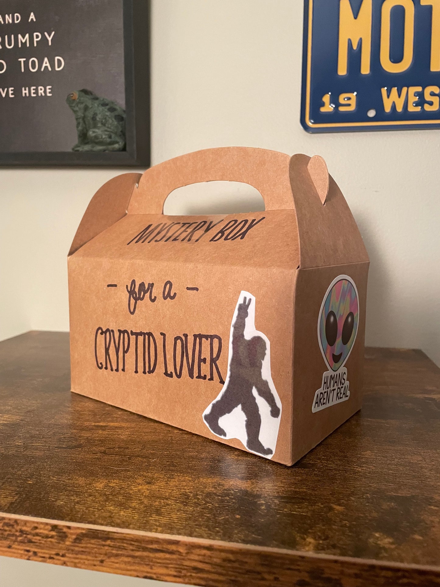 Mystery Boxes - Themed or Random