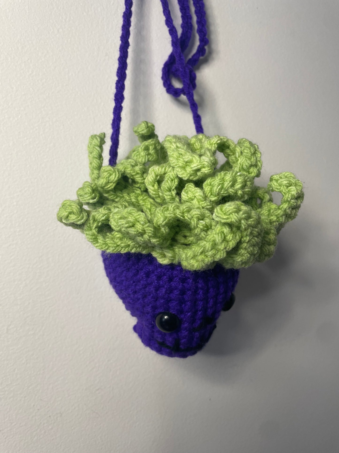 Crochet Hanging Skull Planter