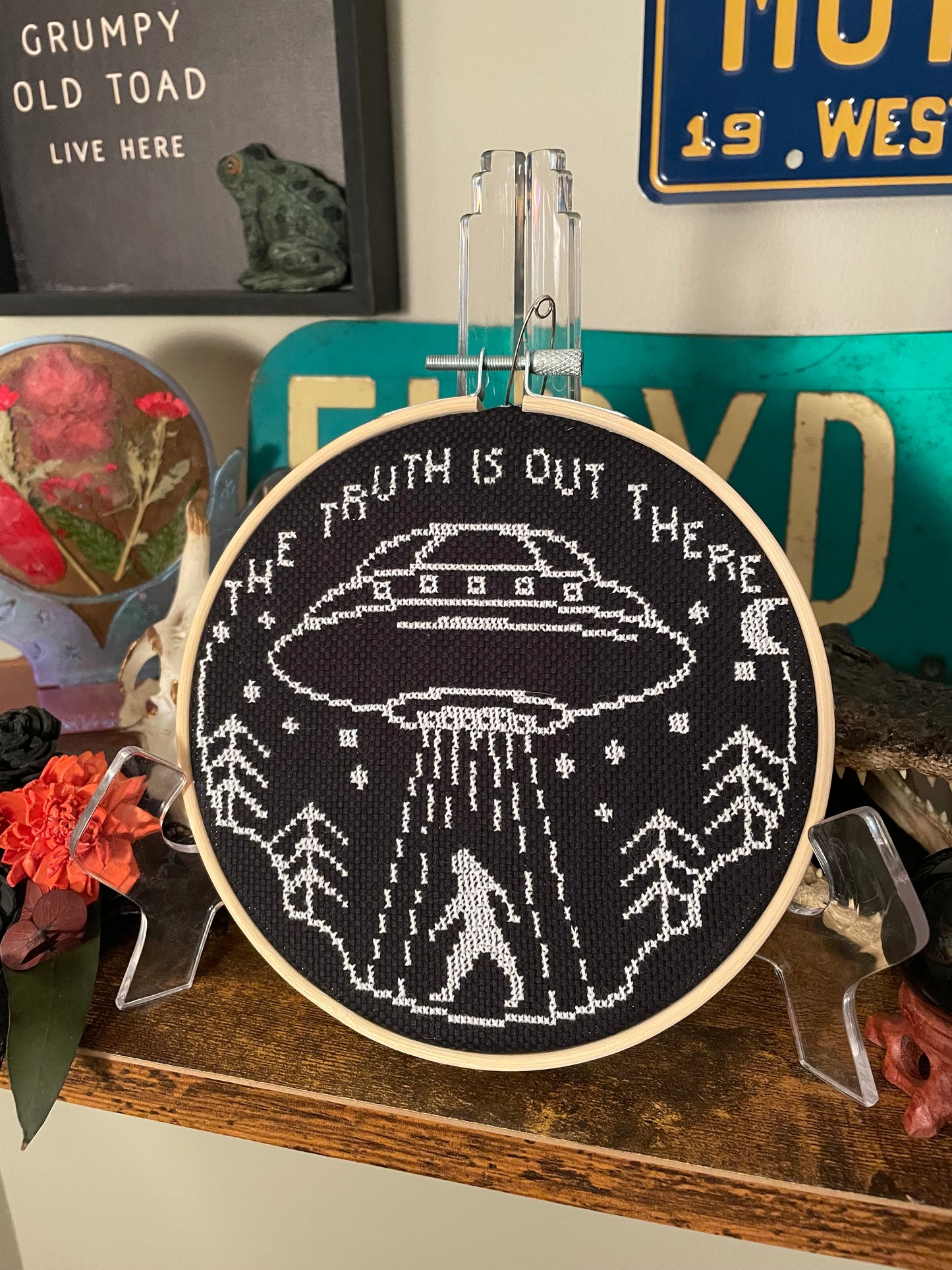 Cross Stitch “The Truth is Out There” in Hoop