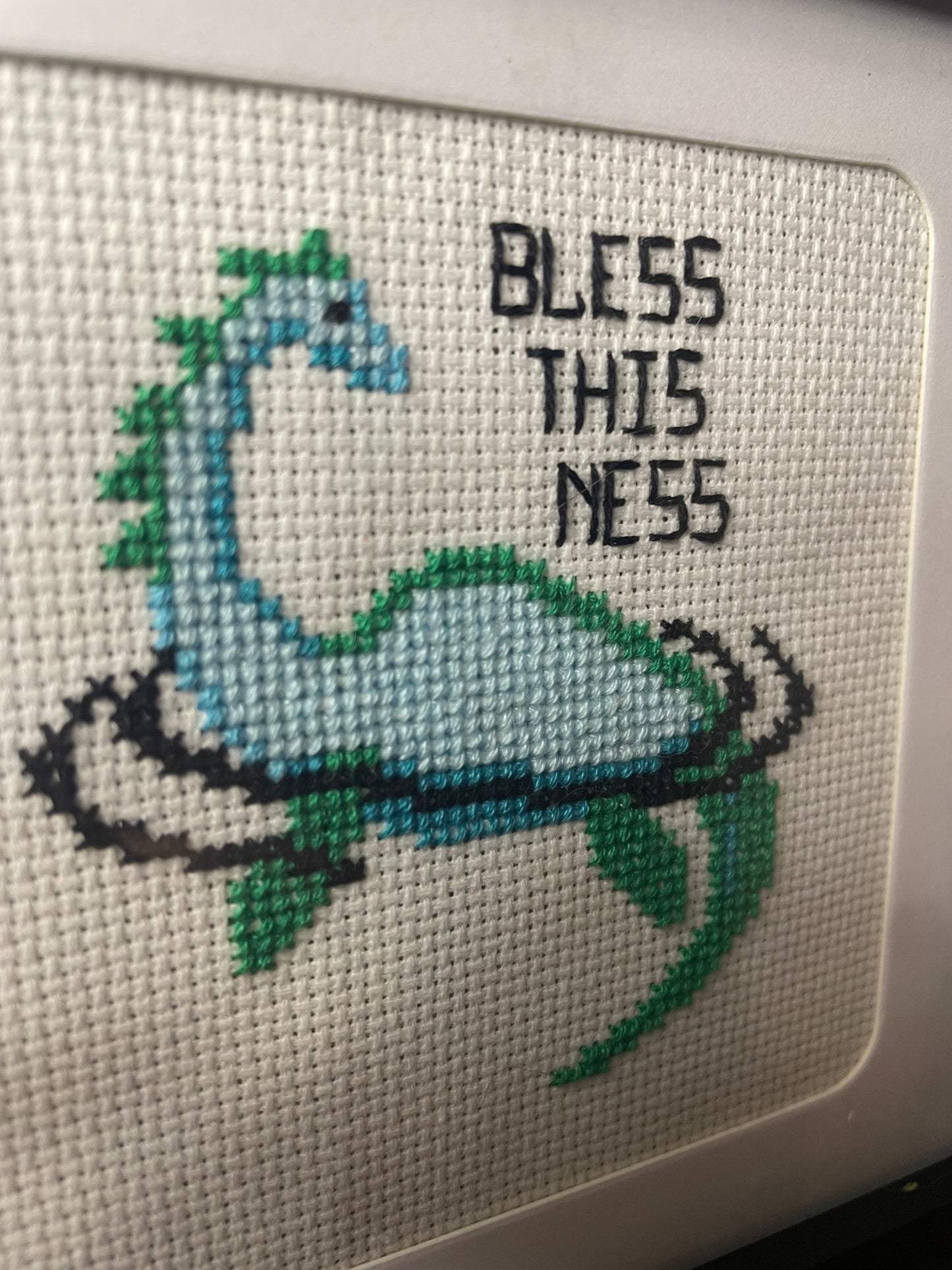 Bless This Ness Framed Cross Stitch