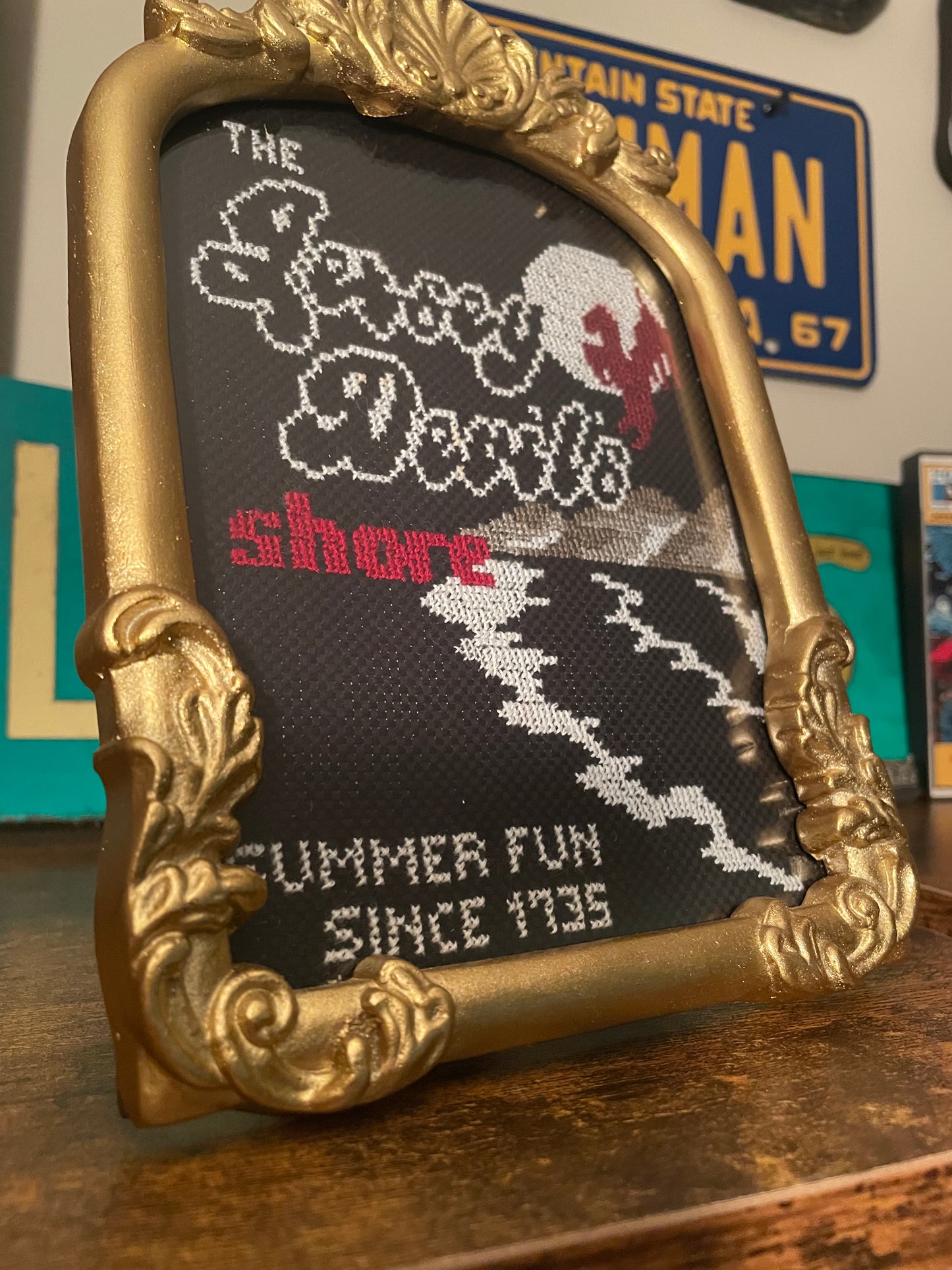 Cross Stitch “The Jersey Devil’s Shore” in Vintage Style Frame