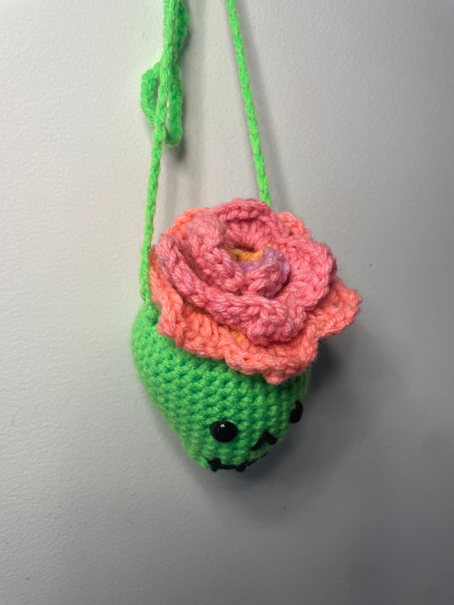 Crochet Hanging Skull Planter
