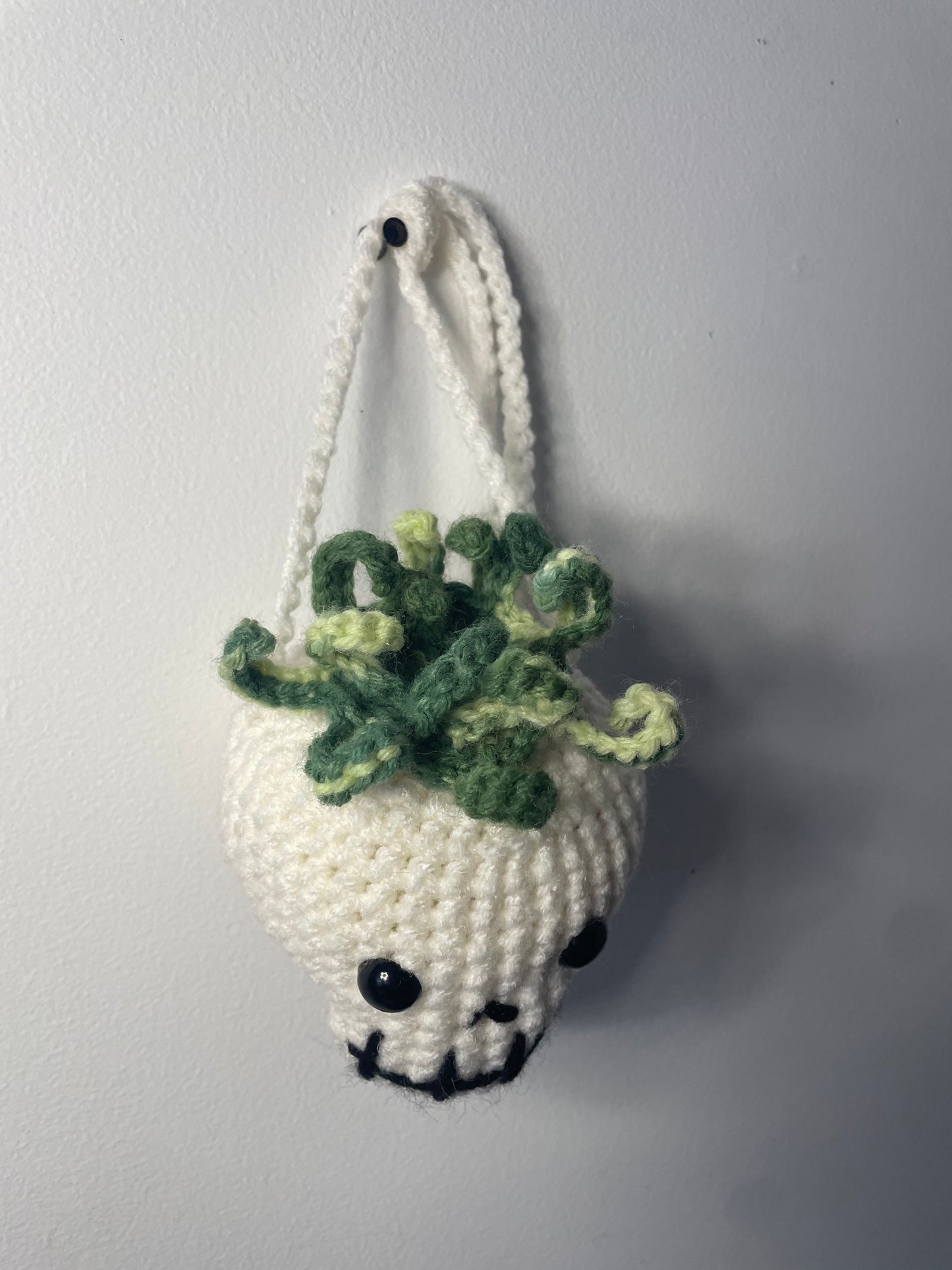 Crochet Hanging Skull Planter