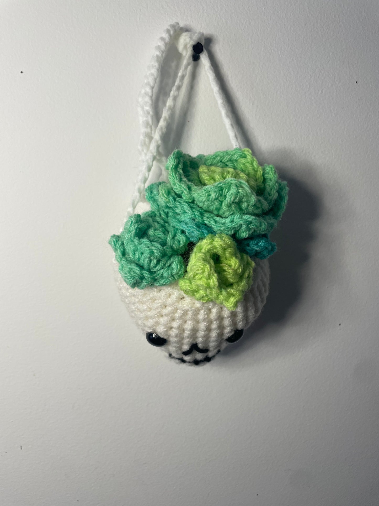 Crochet Hanging Skull Planter