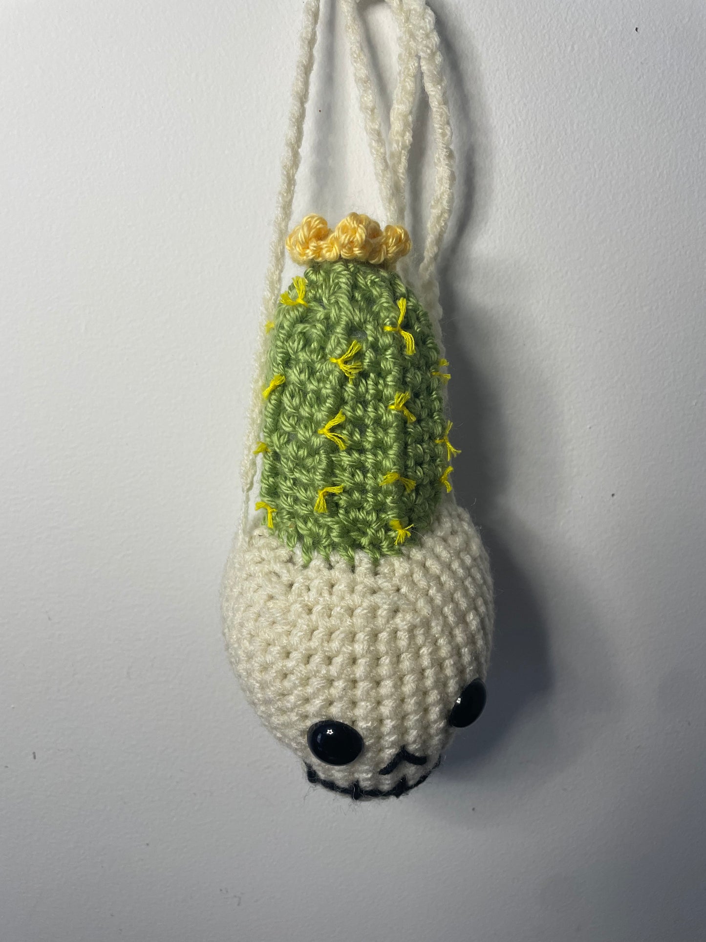 Crochet Hanging Skull Planter